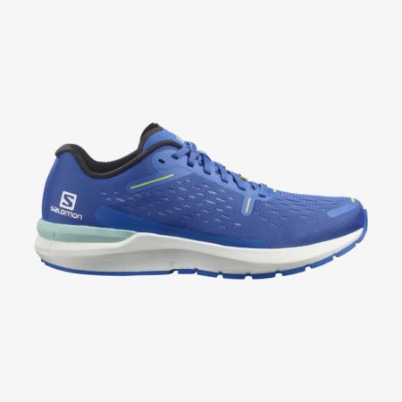 Salomon SONIC 4 Balance Mens Running Shoes Blue | Salomon South Africa